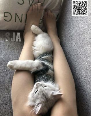 成片人卡1卡2卡3手机免费看_BD版国语迅雷下载